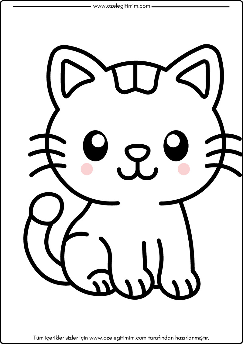 Kedi Boyama 5